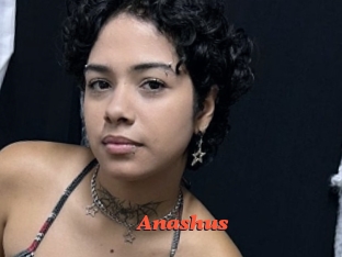 Anashus
