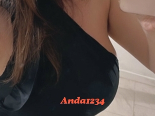 Anda1234