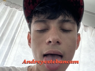 Andreyestebancam