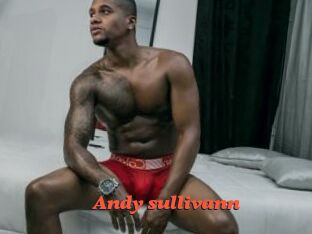 Andy_sullivann