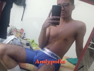 Andypolla