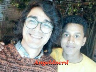 Angeldnerd