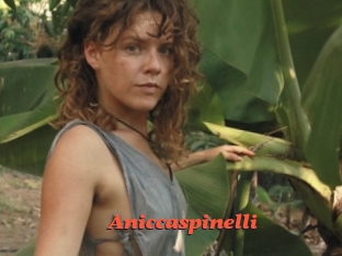 Aniccaspinelli