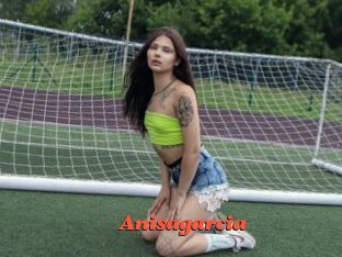 Anisagarcia