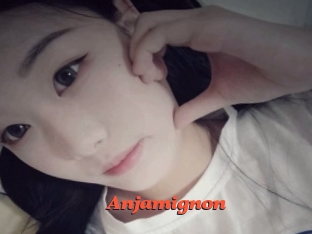 Anjamignon