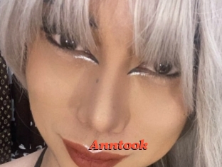 Anntook