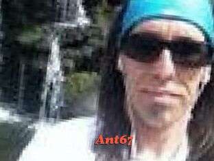 Ant67