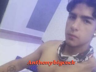 Anthonybigcock