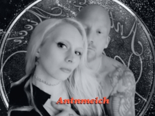Antnmeich