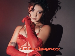 Antonellaagrayy