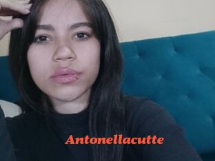 Antonellacutte