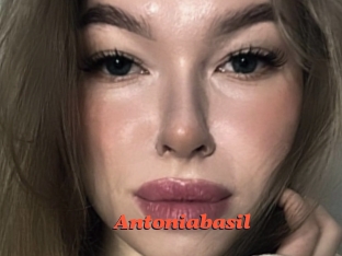 Antoniabasil
