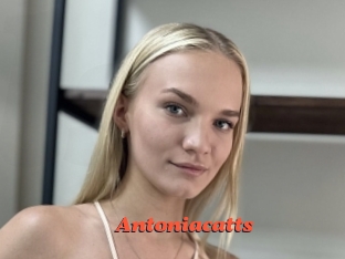 Antoniacatts
