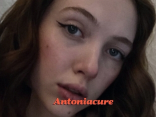 Antoniacure