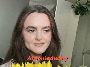 Antoniadudley