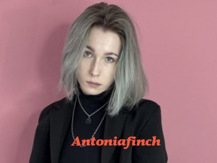 Antoniafinch