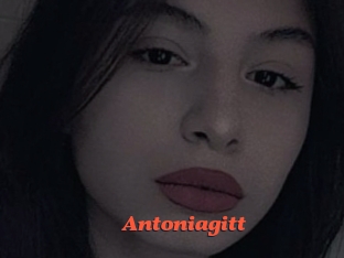 Antoniagitt