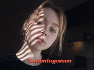 Antoniagosson