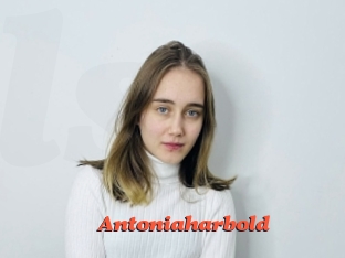 Antoniaharbold