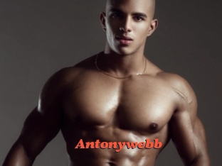 Antonywebb