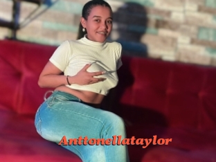 anttonellataylor Livespot
