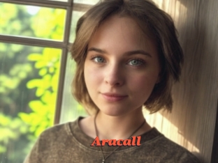Aracall
