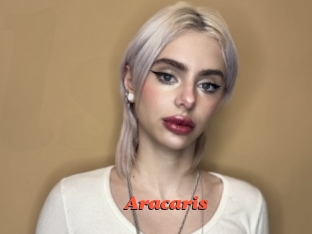 Aracaris