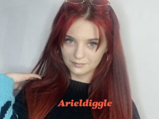 Arieldiggle