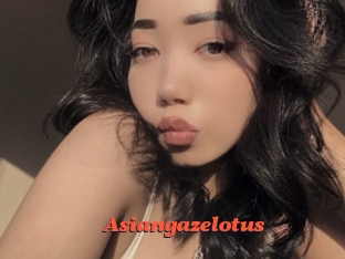 Asiangazelotus