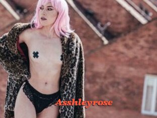 Asshleyrose