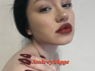 Audreybigge