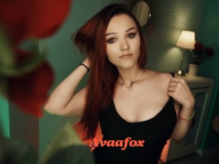 Avaafox