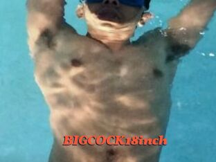 BIGCOCK18inch