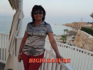 BIGPLEASURE