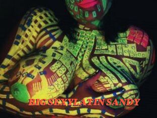 BIG_SEXYLATIN_SANDY