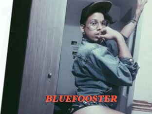 BLUEFOOSTER