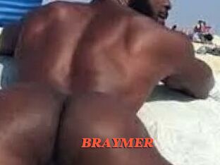 BRAYMER Livespot