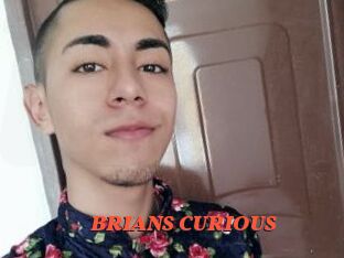 BRIANS_CURIOUS