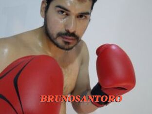 BRUNOSANTORO