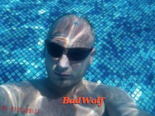 BadWolf