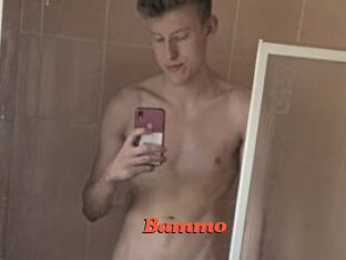 Bammo