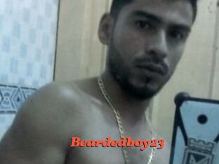Beardedboy23