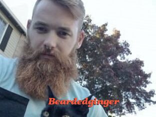 Beardedginger