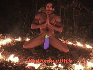 BigDonkeyDick