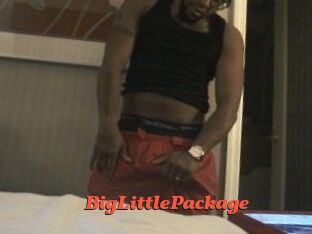 BigLittlePackage