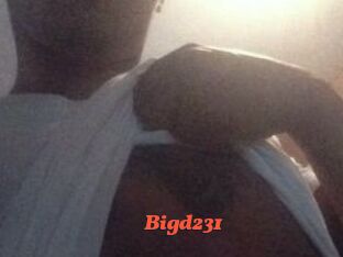 Bigd231
