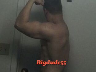 Bigdude55