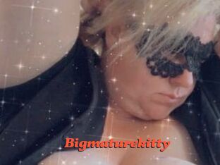 Bigmaturekitty