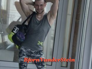 BjornVanderStein