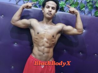 BlackBodyX
